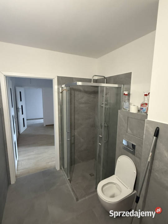 Do wynajęcia mieszkanie w ścisłym centrum