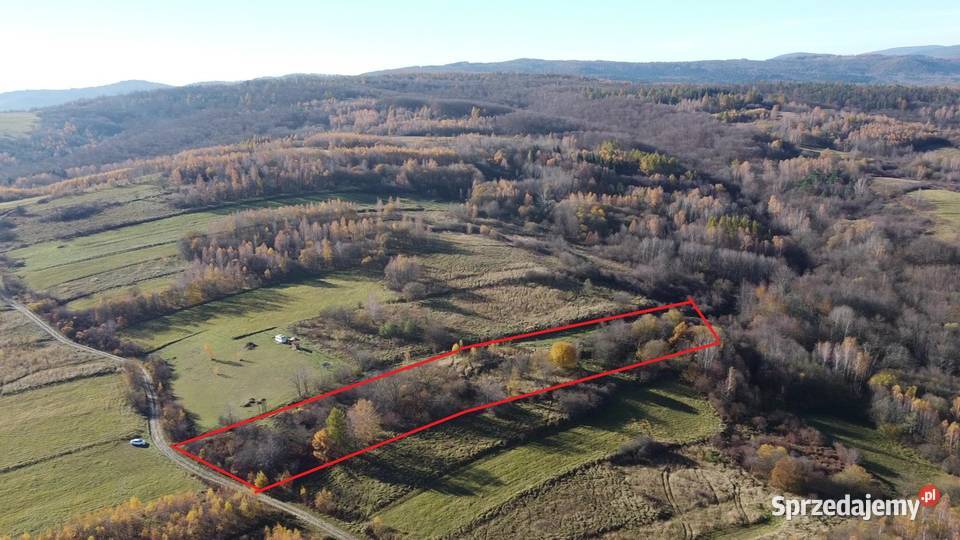 Makowiska działka 61 ar