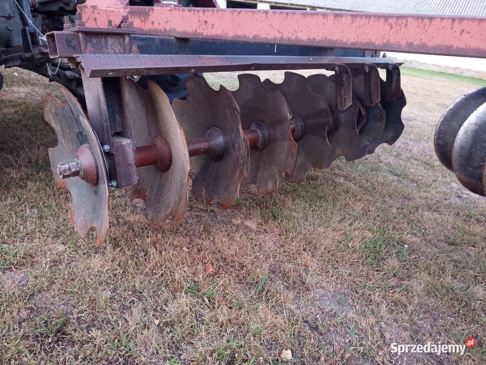 Brona Talerzowa Talerzówka Kock