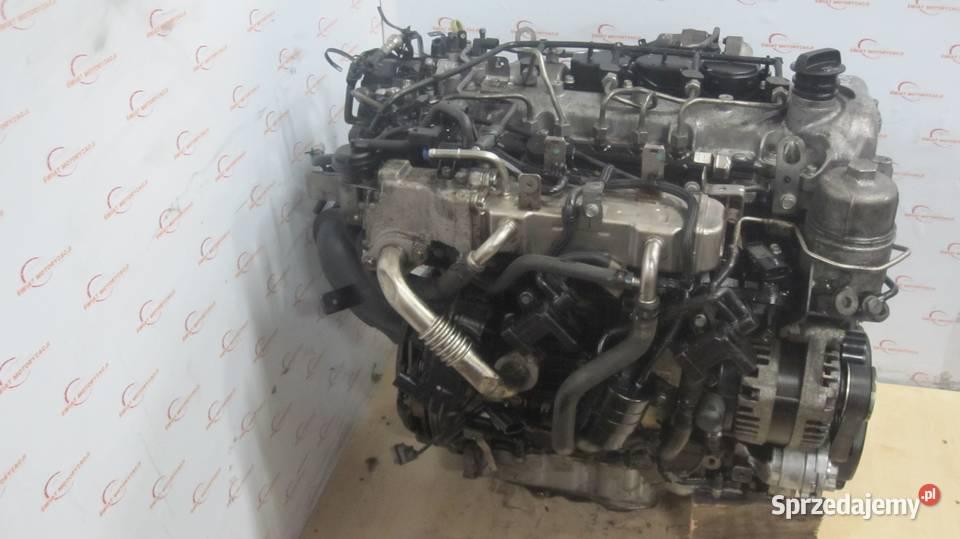 ANTARA CAPTIVA 12r 22 CDTI VCDI Z22D1 163 Silnik Kielce