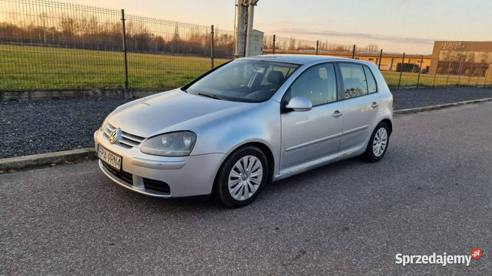 Volkswagen Golf 20 TDI 140 2004 Klima Elektryka Pabianice