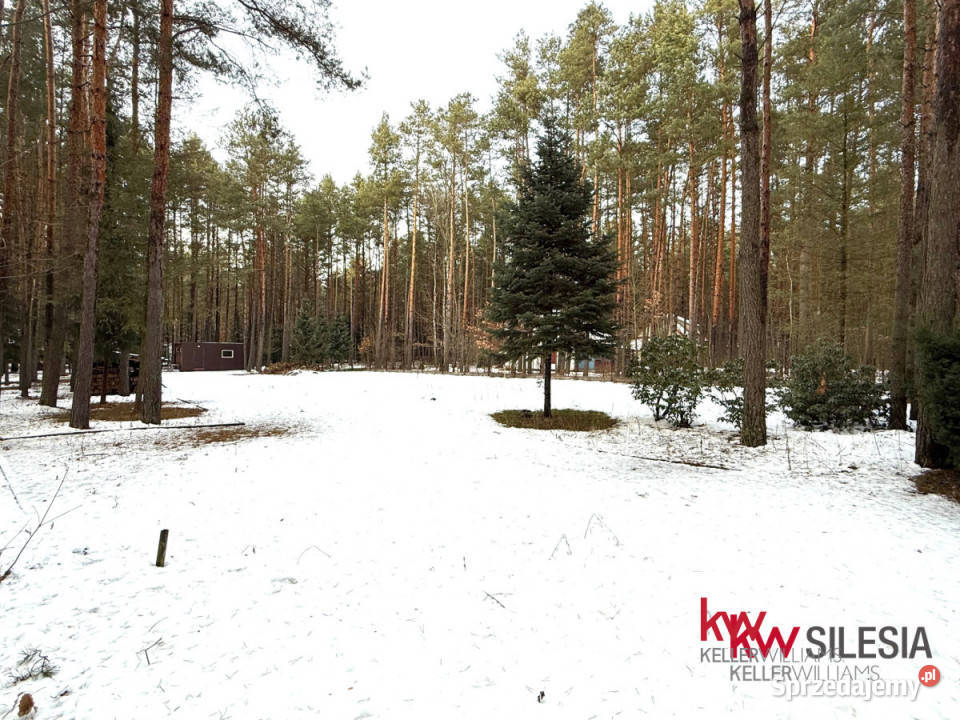 Grunt Masłońskie 3866m2