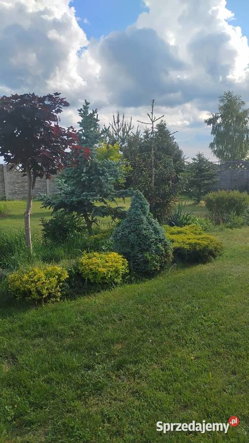 Sprzedam dom mazowieckie Białobrzegi