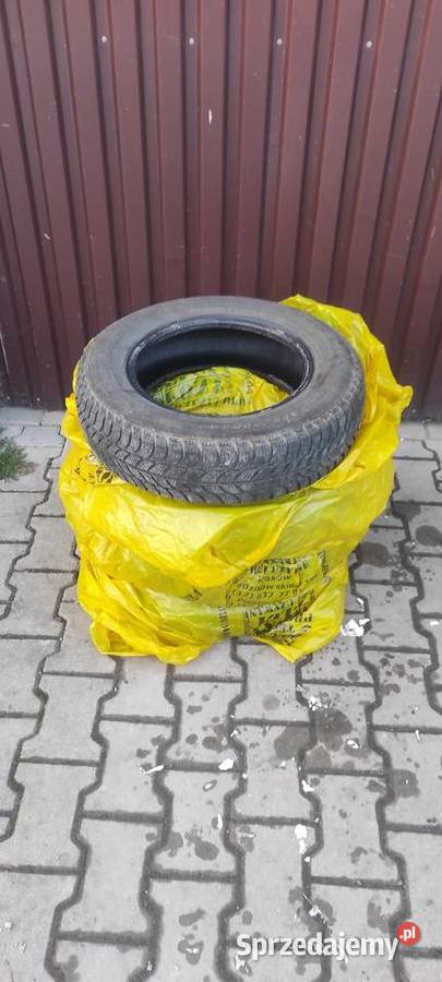 Opony zimowe Dębica frigo zdjęte z fiat panda śląskie Myszków