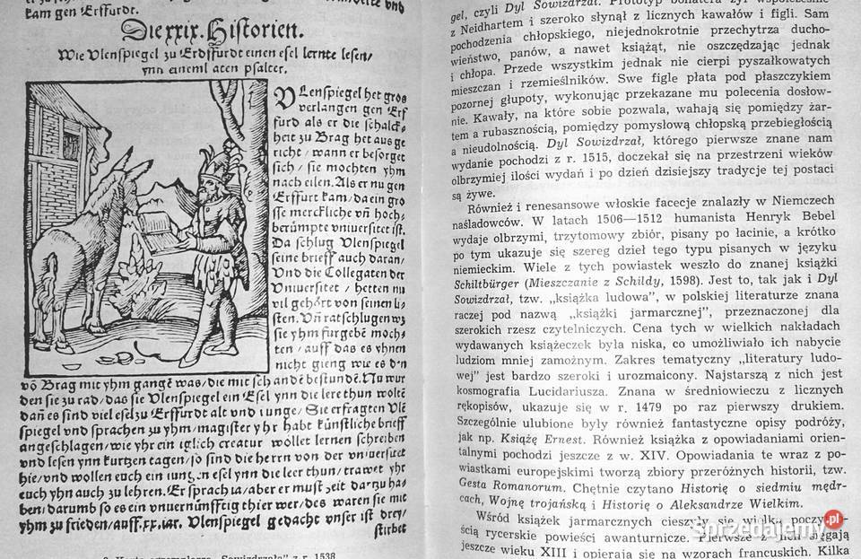 Historia literatury niemieckiej Marian Szyrocki