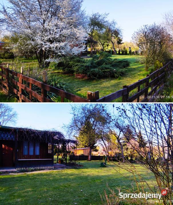 Ogródek działkowy ROD Jaskółka Mościce Tarnów