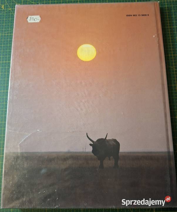 The Hungarian Puszta Gyorgy Kapocsy j angWęgry przyroda, krajobrazy Kraków