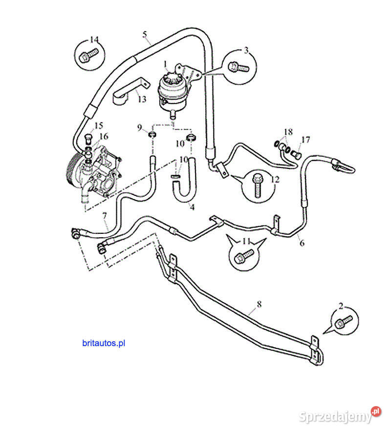 OPASKI ZBIORNICZKA WSPOMAGANIA ZESTAW Rover 75 Poznań