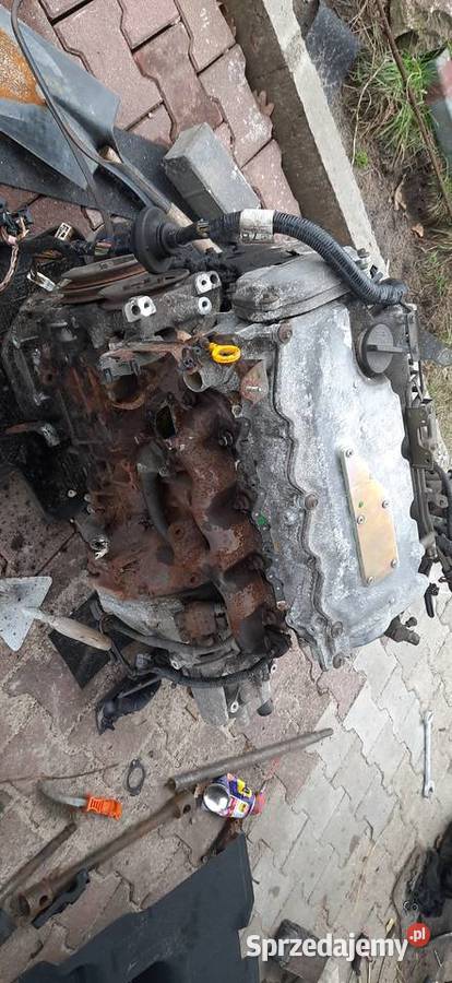 Silnik Nissan Almera n16 22 Di 110 zachodniopomorskie