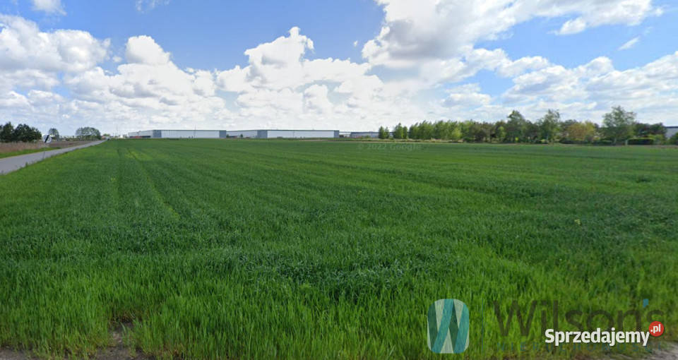 Sprzedaż działki 8255m2 Sokołów Rodzinna Sprzedaż