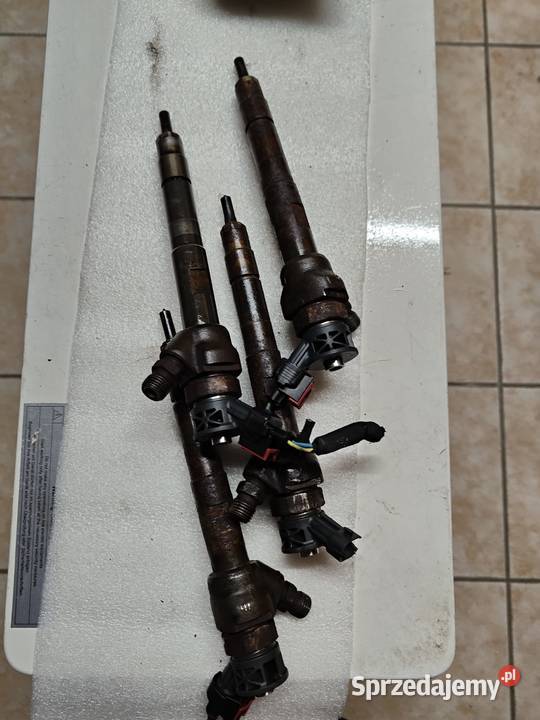 Wtryskiwacz 0445110654 Jaguar Land Rover osobowe podkarpackie Mielec