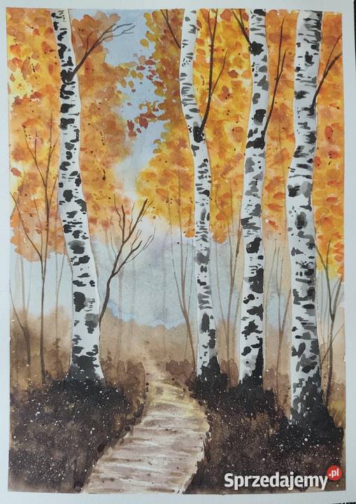 Akwarela Akwarelka Obraz pt Brzozy 073