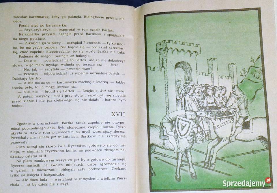 Mechaniczny Rycerz Anna Lewkowska lubelskie Chełm