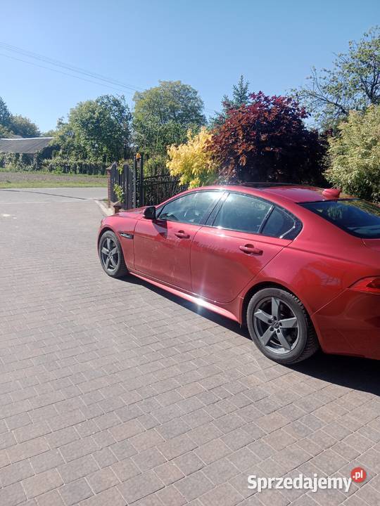 Jaguar XE lubelskie Opole Lubelskie