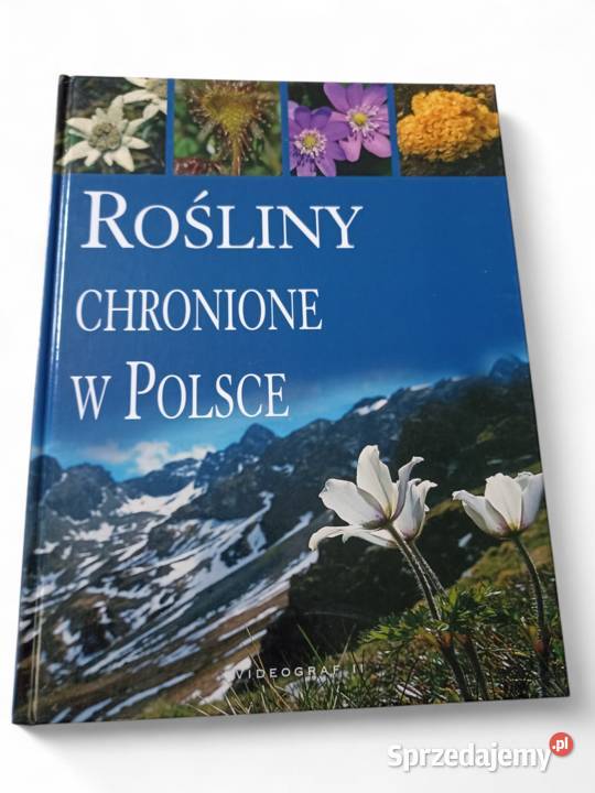 Agnieszka i Włodek Bilińscy Rośliny chronione w