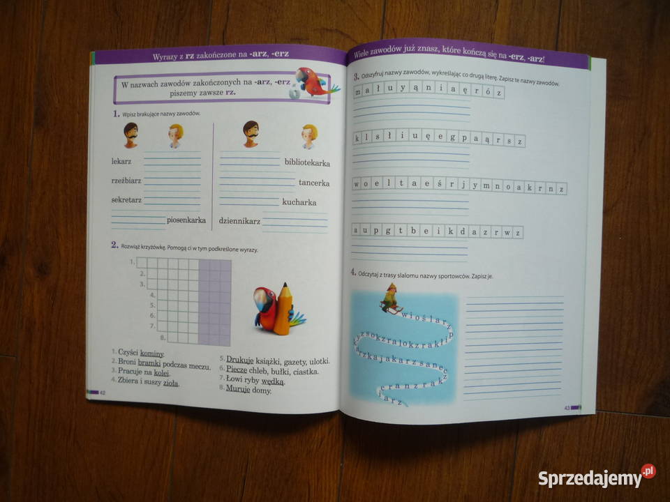 Elementarz odkrywców 2 Potyczki ortograficzne język polski zachodniopomorskie Szczecin sprzedam