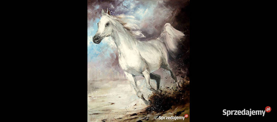 Obraz olejny 50x60 koń Antyki, Sztuka, Kolekcje małopolskie Kraków