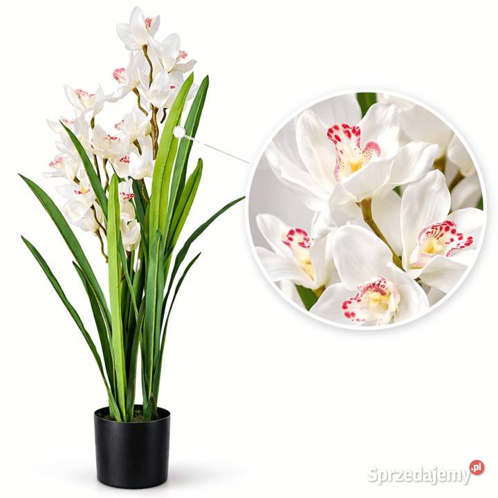 Sztuczny storczyk Cymbidium 105 biały ecru Golkowice