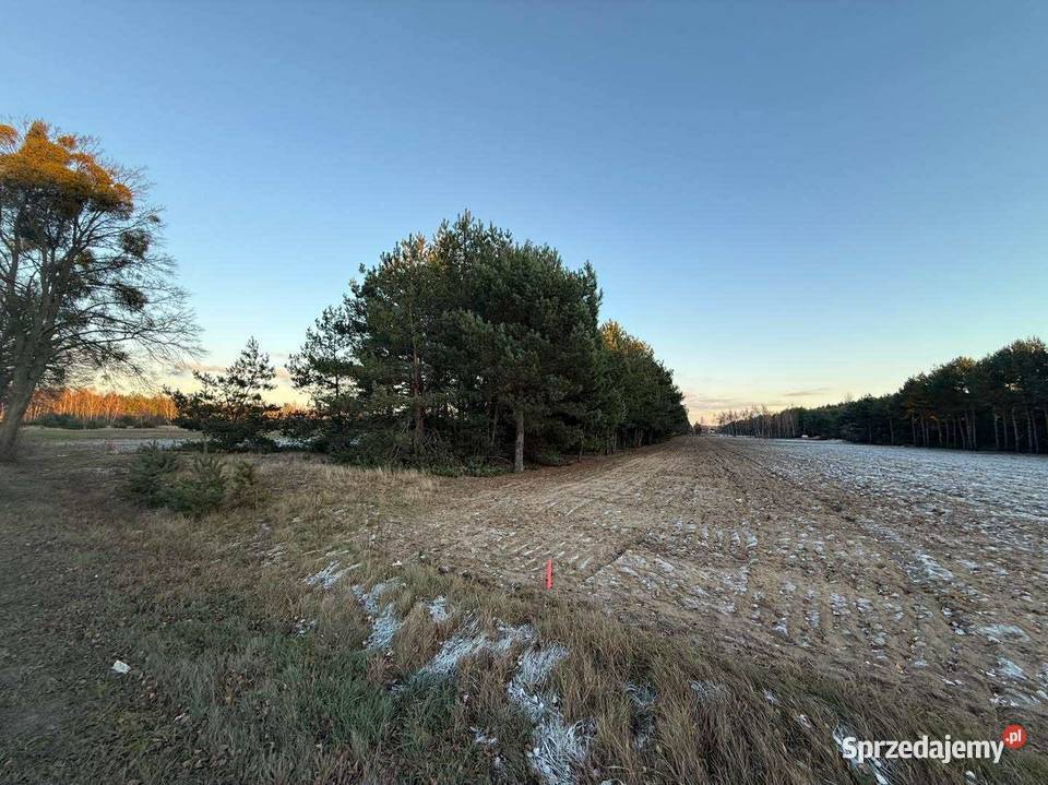 Działki budowlane na sprzedaż Józefowo k Słupcy Piotrowice