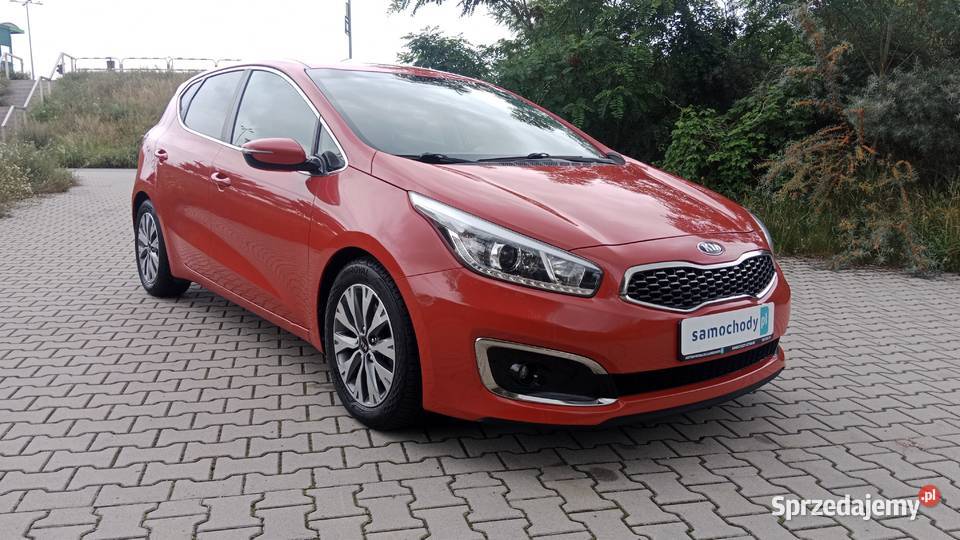 PREMIUM NAVI KAMERA 2017 LED PEŁEN SERWIS Hatchback Cee'd