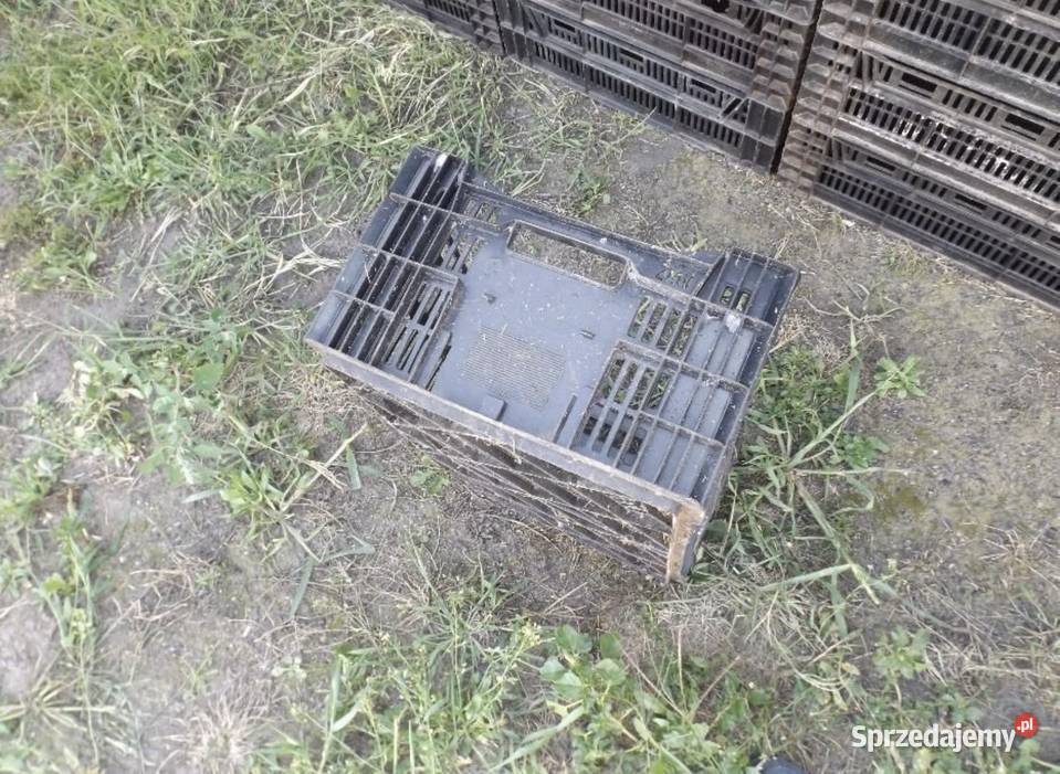 Skrzynka ogrodnicza mazowieckie Siedlce