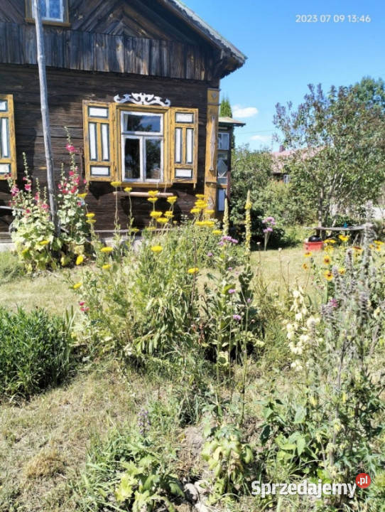 Perełka Podlasia m Czarna Cerkiewna 5000m2 Sprzedaż