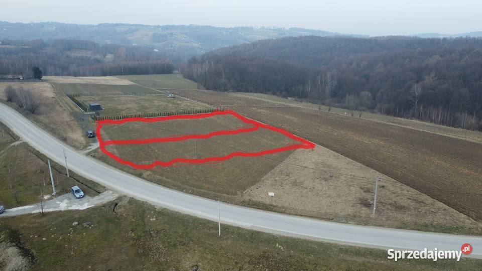 Działka budowlana 125 ara 24m Stasiówka sprzedam