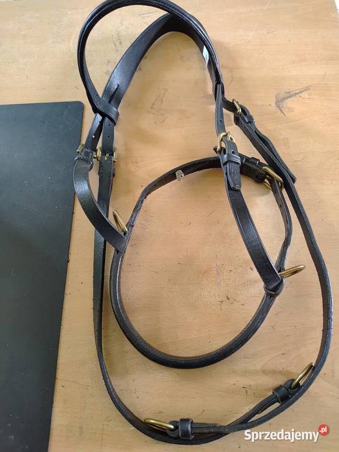 OGŁOWIE BEZWĘDZIDŁOWE CZARNE L Kazanów