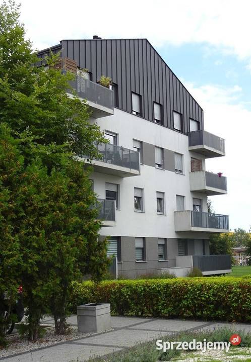 2pok 39met Sołtysowickiej BALKONKOMÓRKAWINDA Liczba pokoi 2 Wynajem dolnośląskie Wrocław