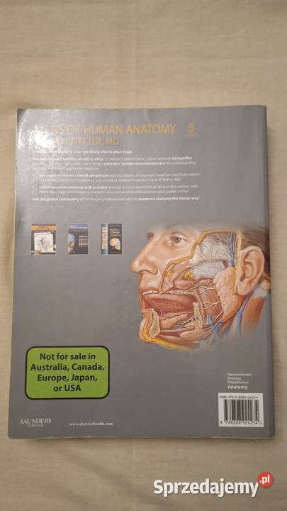 Atlas of Human Anatomy Frank Netter Warszawa sprzedam