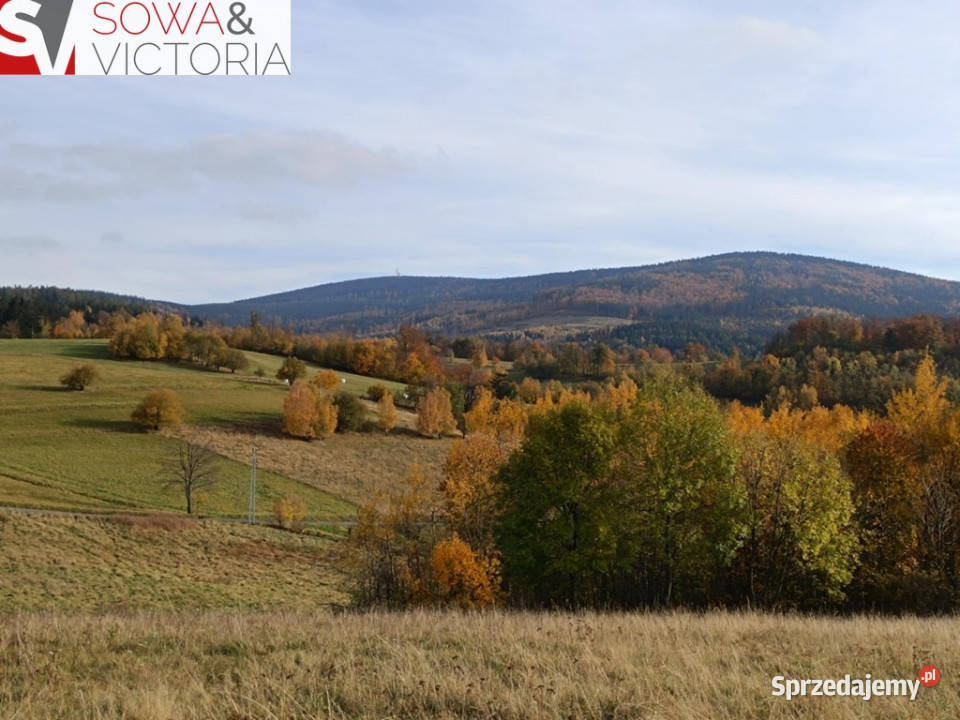 Działka na szczycie z panoramicznym widokiem