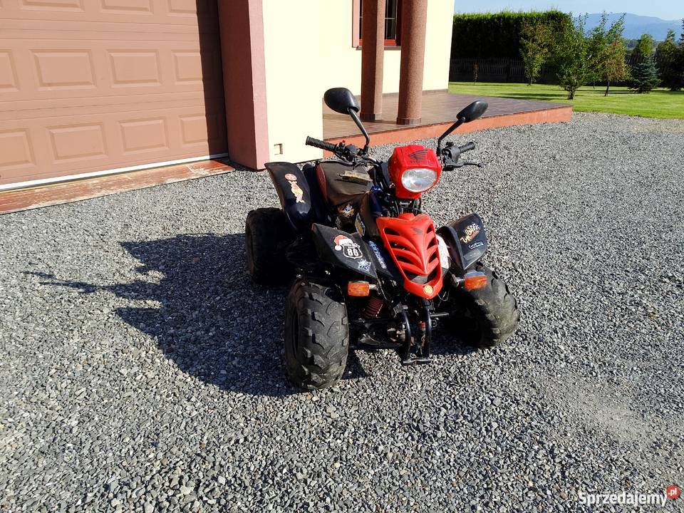 Kingway alpinus 200 kupiony w Polsce Godziszka sprzedam