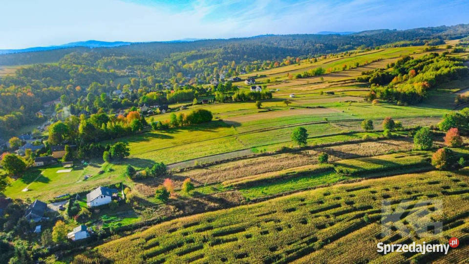 Działka Zahutyń 1500m2 79zł/m2 sprzedam