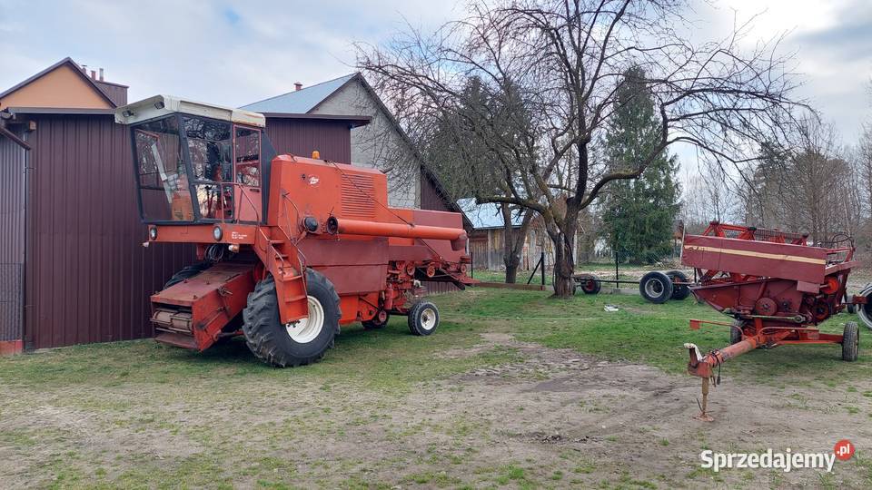 Bizon Z056 Biedaczów