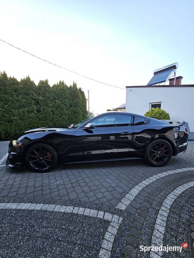 Ford Mustang 23 EcoBoost 2019r