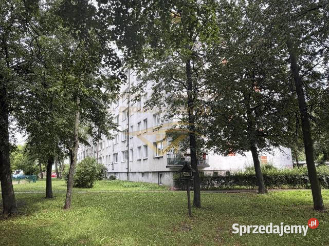 Mieszkanie 3785m2 2 pokojowe Grodzisk Mazowiecki Sprzedaż