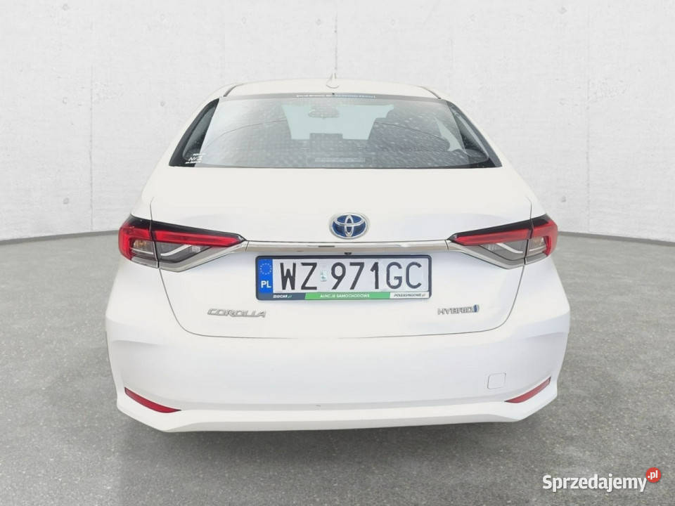 Toyota Corolla E21 2019 hybryda