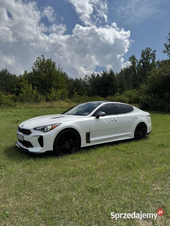 Kia Stinger 20 GTLine komputer pokładowy Pilica sprzedam
