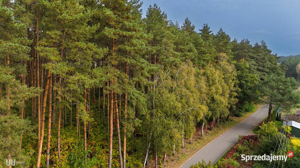 Dom w otulinie lasu 10 min Uniejowa eternit Wilczków
