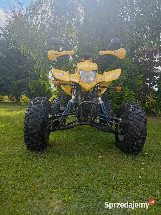 Bashan 200 Rok produkcji 2008 Bashan Świętomarz