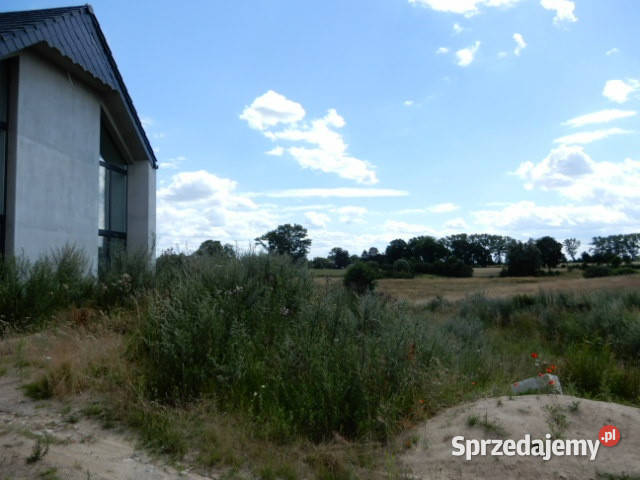 Syndyk sprzeda działki o numerze 2571 224 221 Trzeszyn sprzedam