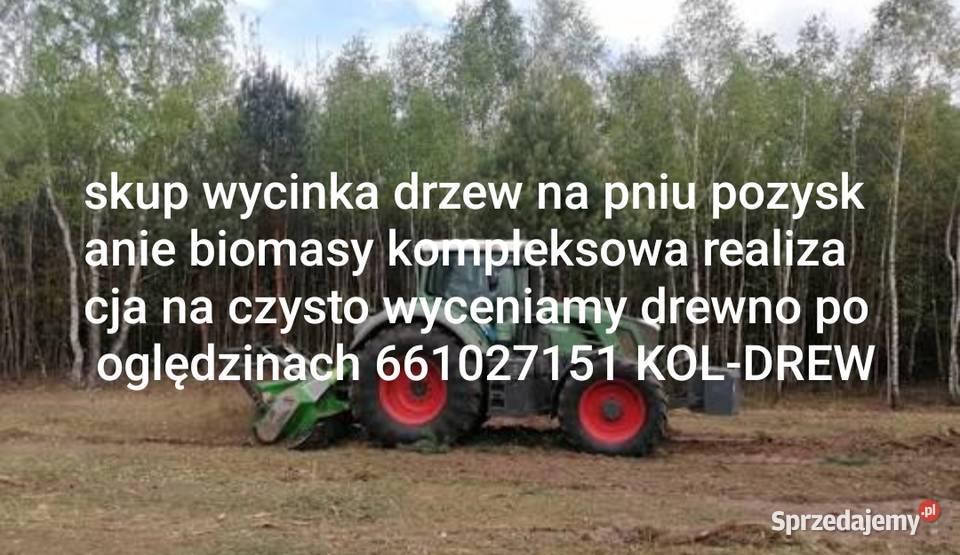 Usługi wycinania drzew skup drewna na terenie Sieradz