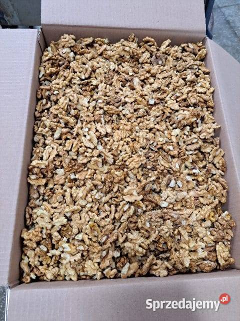 Orzechy włoskie sprzedam Tryńcza