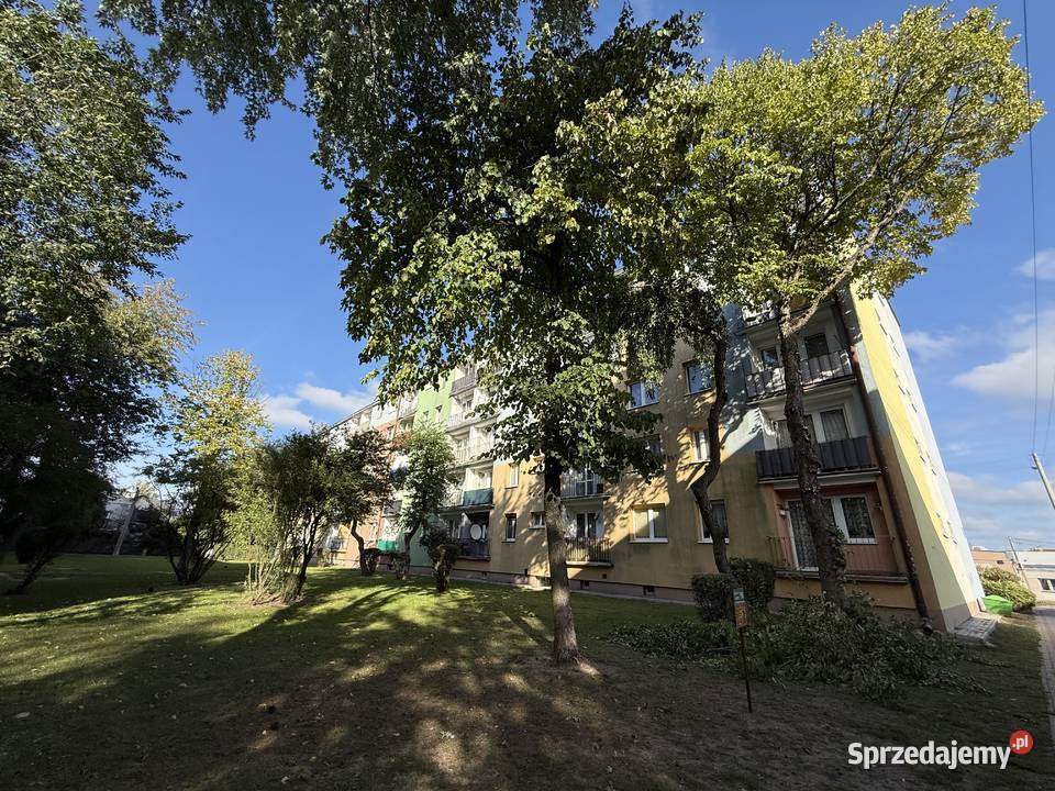 Sprzedam mieszkanie Liczba pokoi 2 Sprzedaż Tomaszów Mazowiecki
