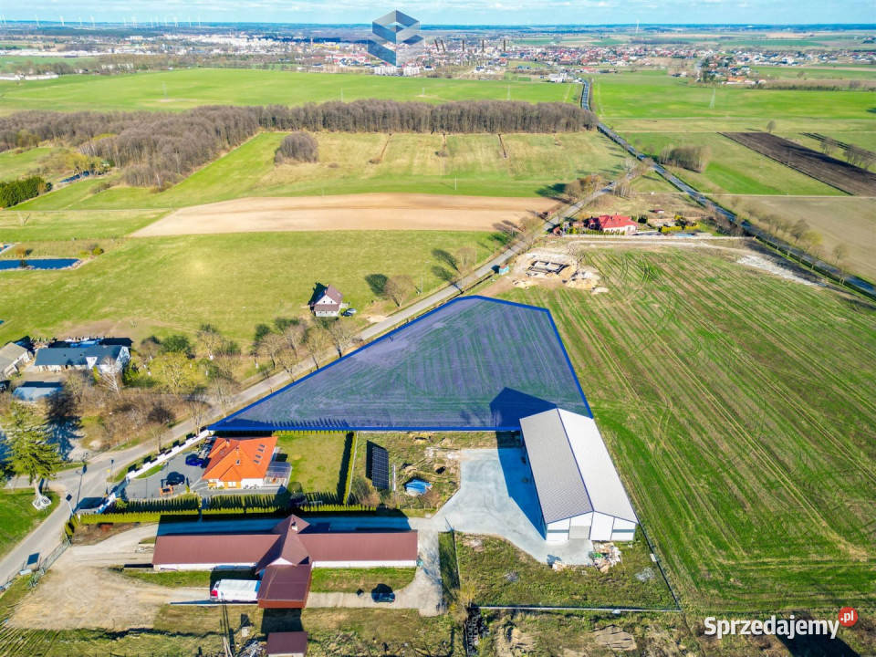 sprzedaży działki 7635m2 Pierławki warmińsko-mazurskie
