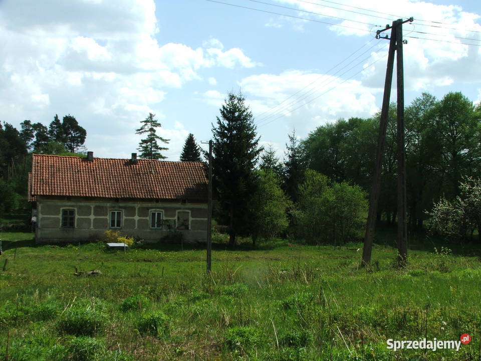 Sprzedam siedlisko na działce na Mazurach warmińsko-mazurskie Jany