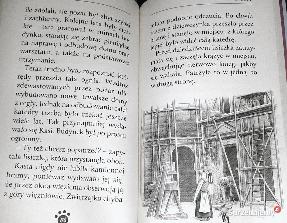 Zaopiekuj się mną Śnieżka zimowy lis Holly Webb Pozostałe Chełm