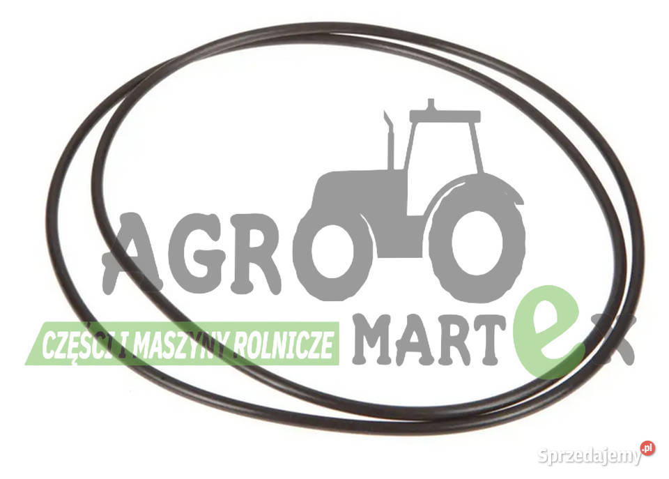 3382249M1 T39741 14469580 2385277 ORING 293x353 nieuszkodzony