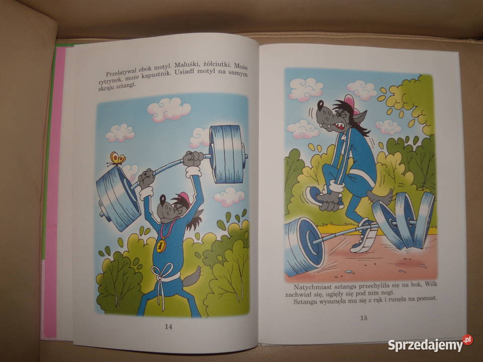 Wilk i zając Mistrz sportu Warszawa