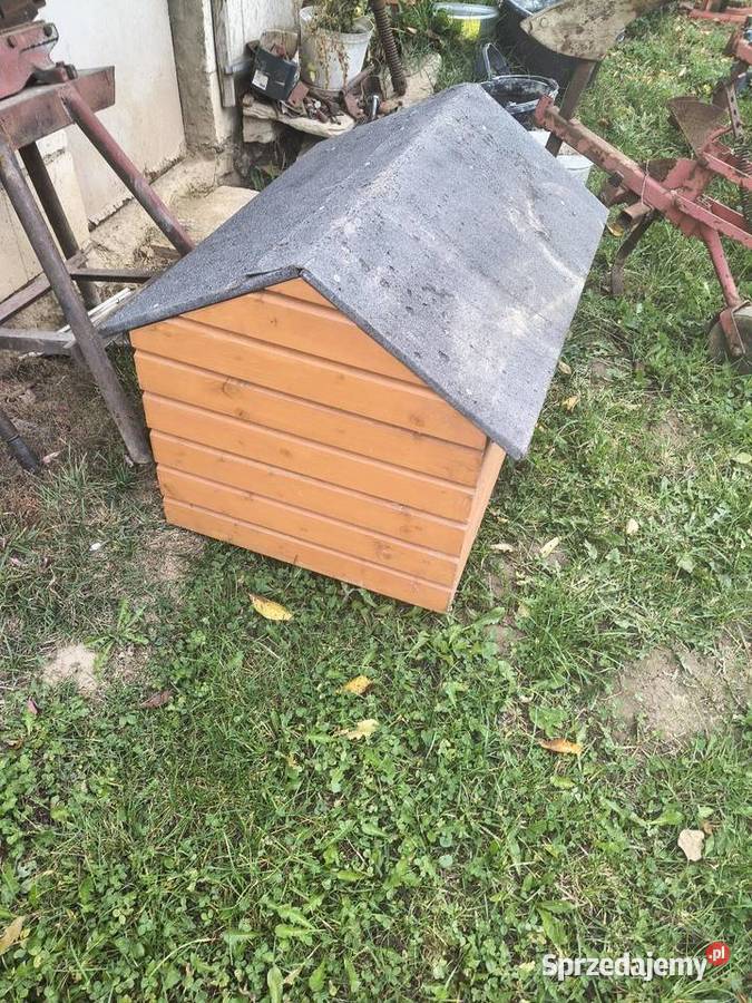 Buda psa Blizne